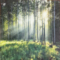3D Wallpaper Path to Evermore III SKU# WAL0690