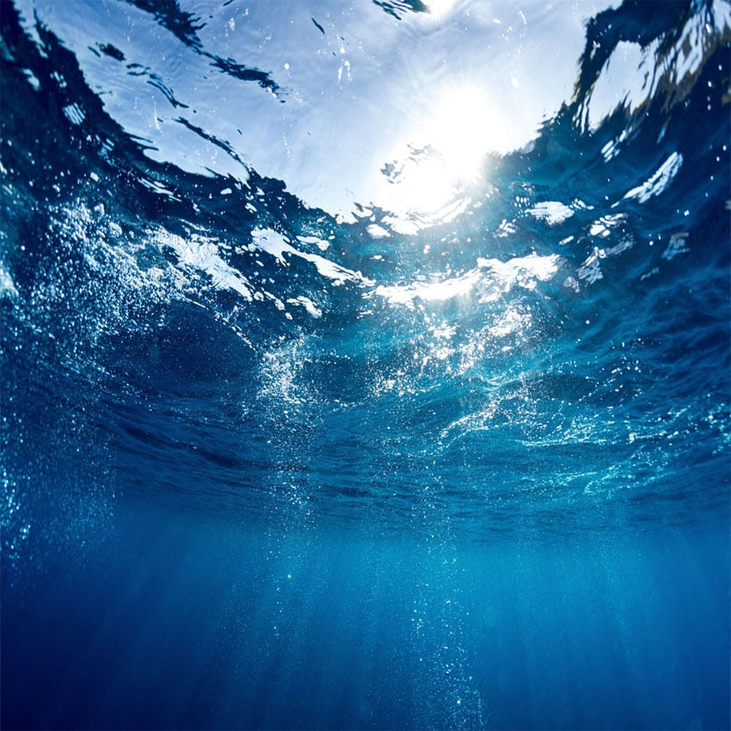 3D Wallpaper Underwater World SKU# WAL0261