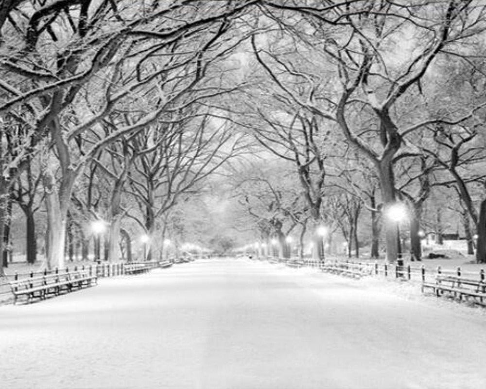 3D Wallpaper Snowy Mist SKU# WAL0170